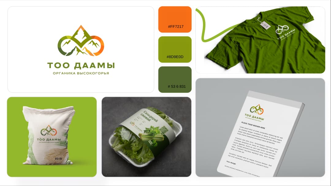 Создали логобук, включающий:
Символ бесконечности, олицетворяющий здоровье, гармонию и цикличность.
Очертания гор, символизирующие чистоту природы и высокогорное происхождение продукции.
Цветовую палитру в зелёных и оранжевых тонах, ассоциирующихся с органикой и здоровьем.